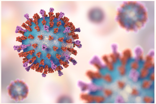 RSV Vaccination Programme
